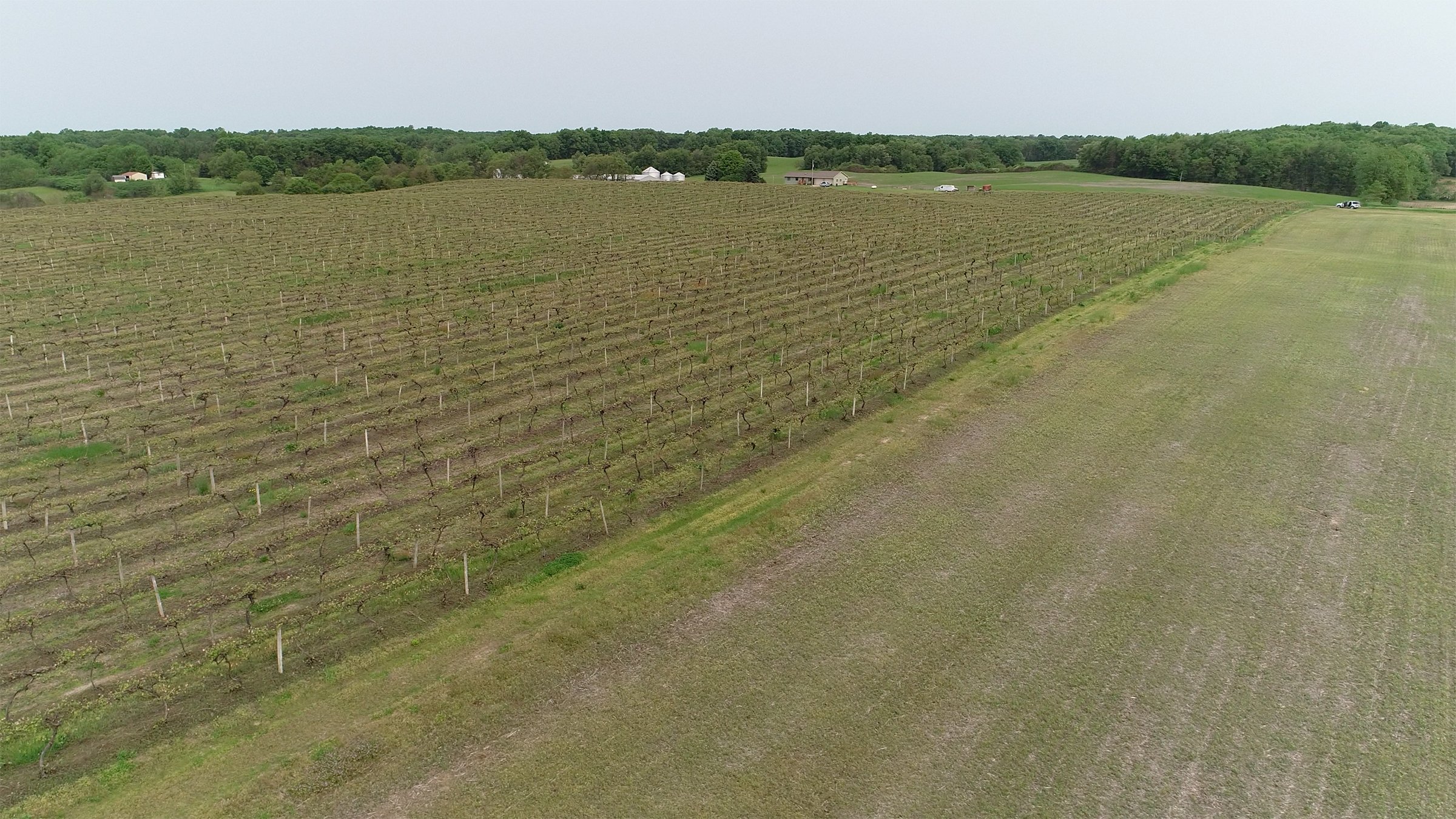 Van Buren County, Michigan farmland - LAND AUCTION - 194+/- ACRES OFFERED IN 5 TRACTS IN VAN BUREN COUNTY, MICHIGAN
